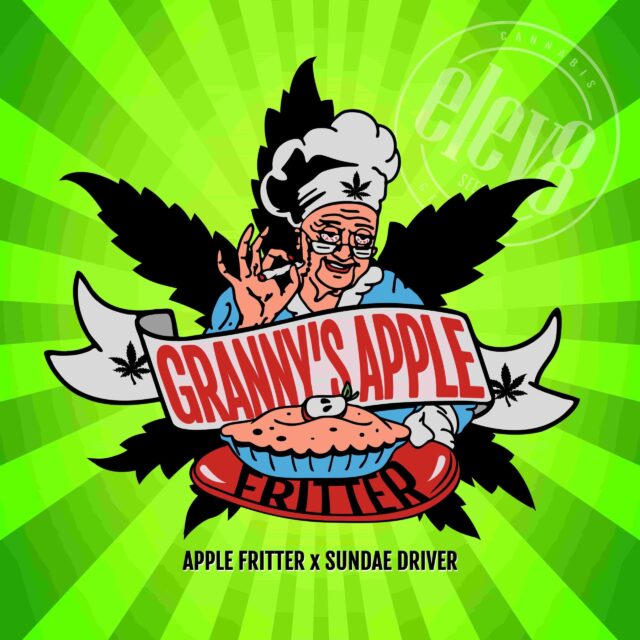 Granny’s Apple Fritter feminizada de Elev8 Seeds