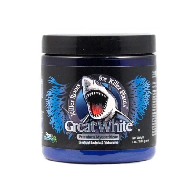 Great White