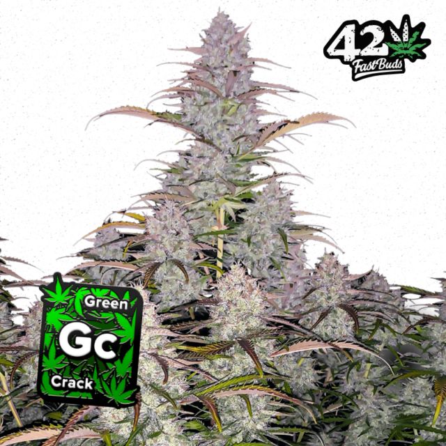Green Crack Auto de FastBuds