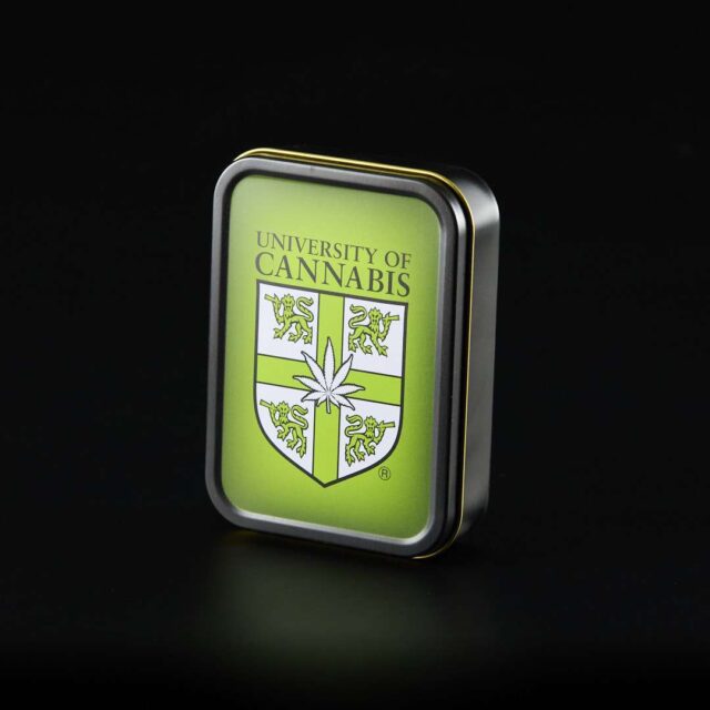 Caja rectangular grande negra - University of Cannabis