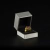 Anillo porta porro Raw Championship