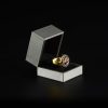 Anillo porta porro Raw Championship
