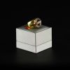 Anillo porta porro Raw Championship