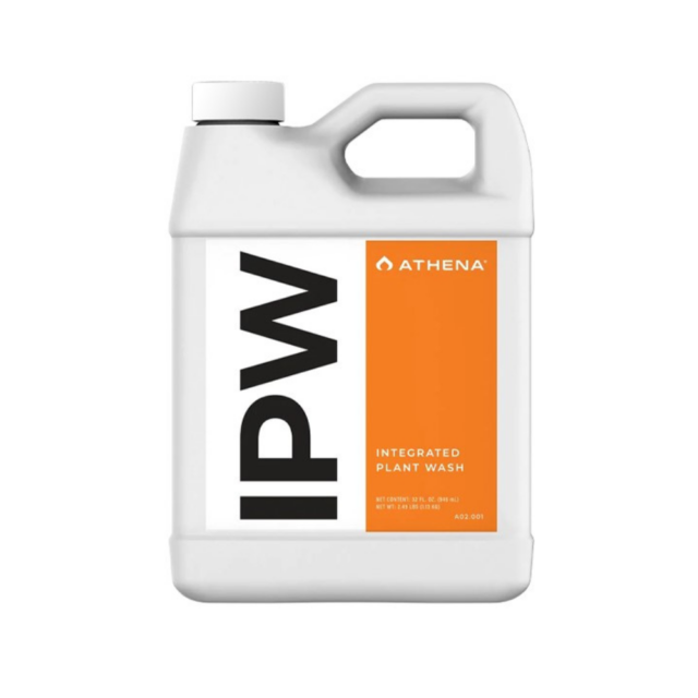IPW de Athena