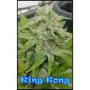 King Kong feminizada de Dr. Underground