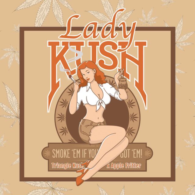 Lady Kush feminizada de Elev8 Seeds