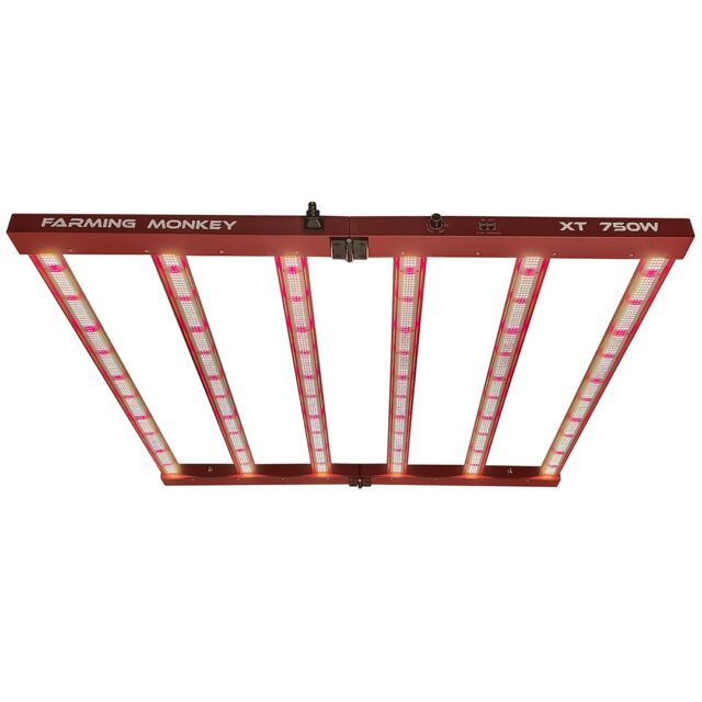 Led XT 750W de Farming Monkey