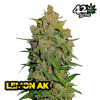 Lemon AK Auto de FastBuds