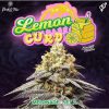Lemon Curd feminizada de Perfect Tree