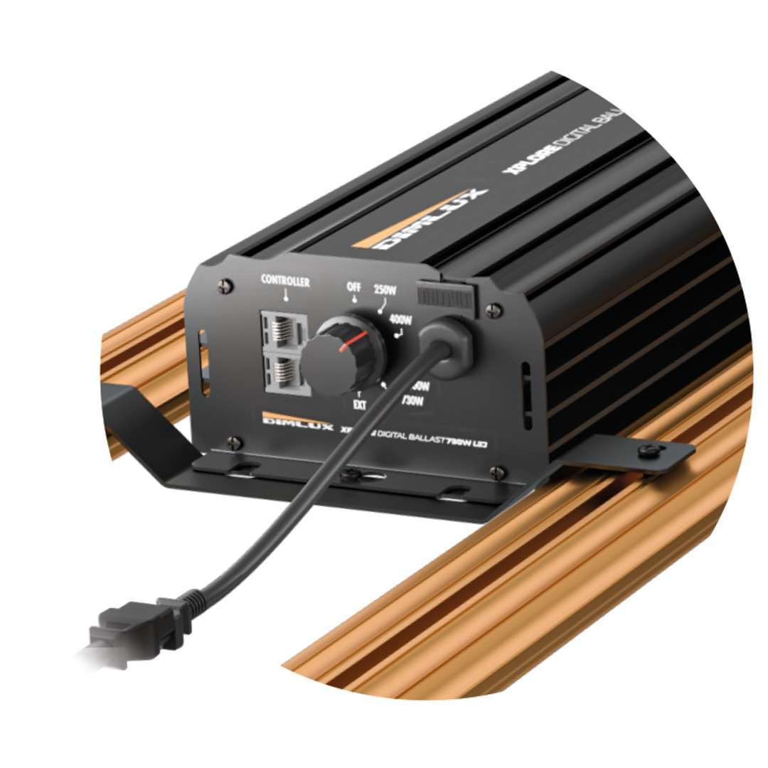 Luminaria LED Xplore Series de Dimlux 730W