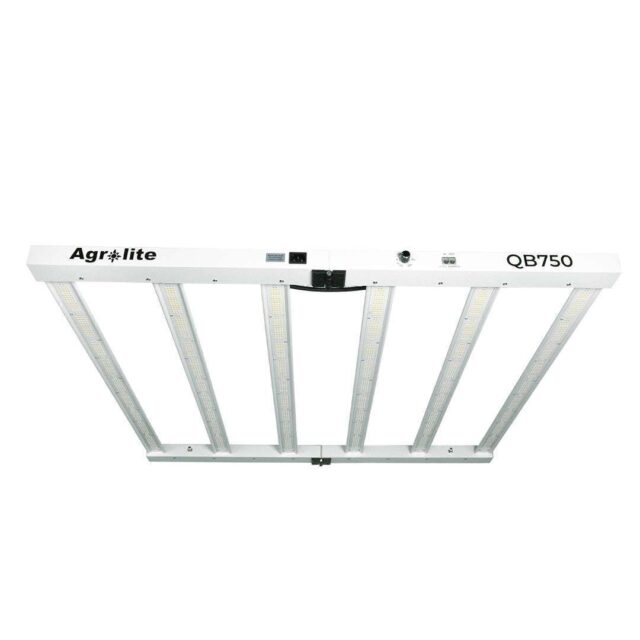 GROWER - Kit de cultivo interior Avanzado