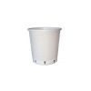 Kit de cultivo de exterior autofloreciente - BASICO