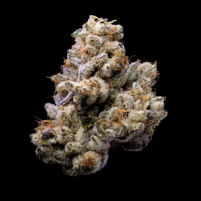 Orange Cake feminizada de Cookies Seed Bank