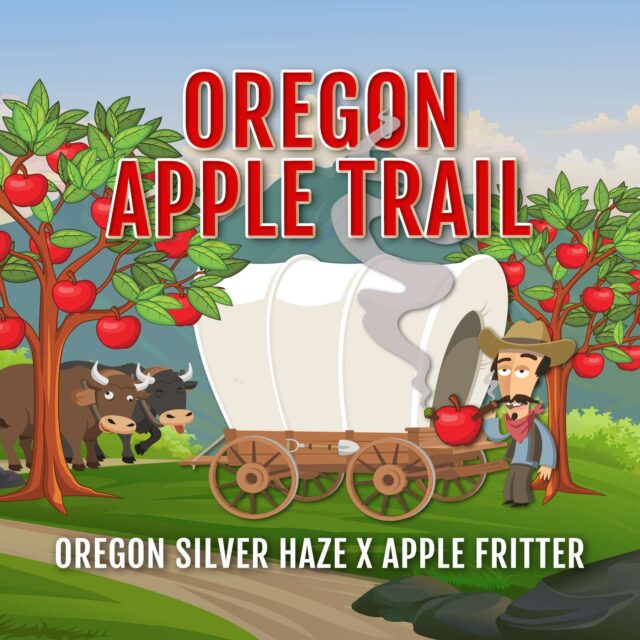 Oregon Apple Trail feminizada de Elev8 Seeds