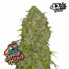 Jack Herer Auto de FastBuds