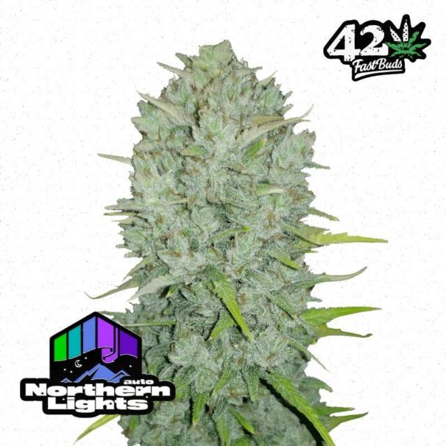 Northern Lights Auto de FastBuds