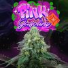 Pink Gasoline feminizada de Perfect Tree