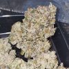 Pink Pie feminizada de Karma Genetics
