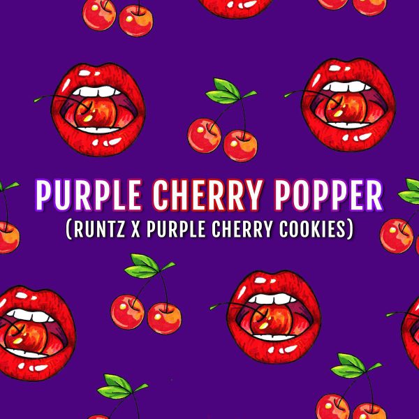 Purple Cherry Popper feminizada de Elev8 Seeds
