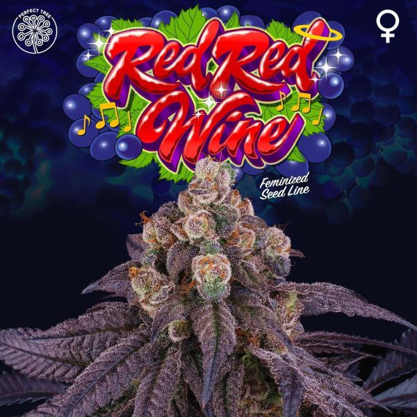 Red Red Wine feminizada de Perfect Tree