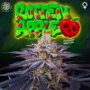 Rotten Apple feminizada de Perfect Tree