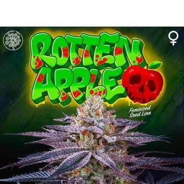 Rotten Apple feminizada de Perfect Tree