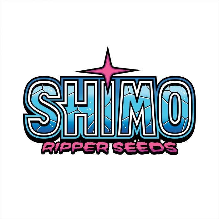Shimo feminizada de Ripper Seeds - Imagen 3
