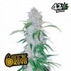 Six Shooter Auto de FastBuds