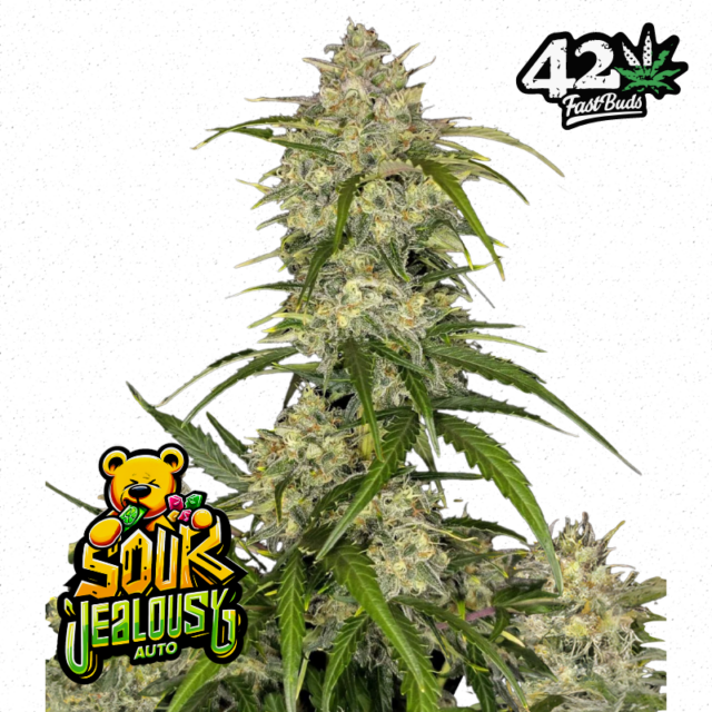 Sour Jealousy Auto de FastBuds