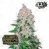 Stardawg Auto de FastBuds