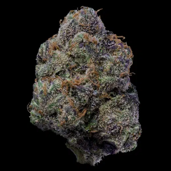 The Wolf feminizada de Cookies Seed Bank