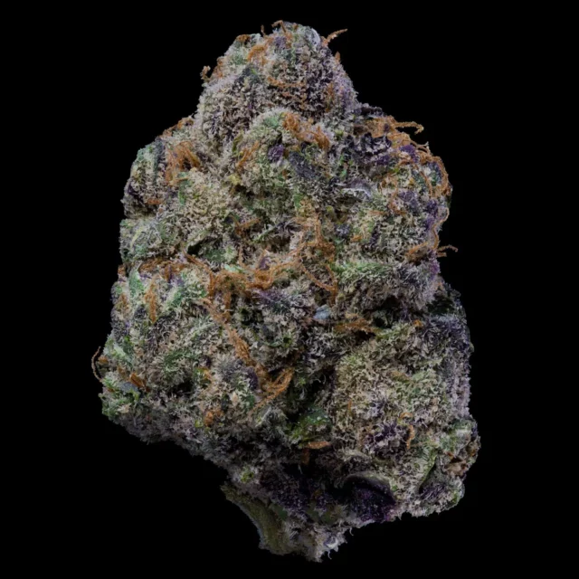 The Wolf feminizada de Cookies Seed Bank