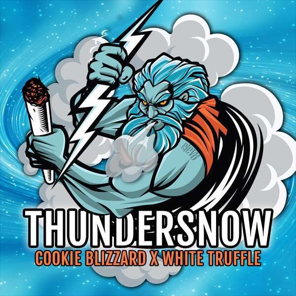 ThunderSnow feminizada de Elev8 Seeds