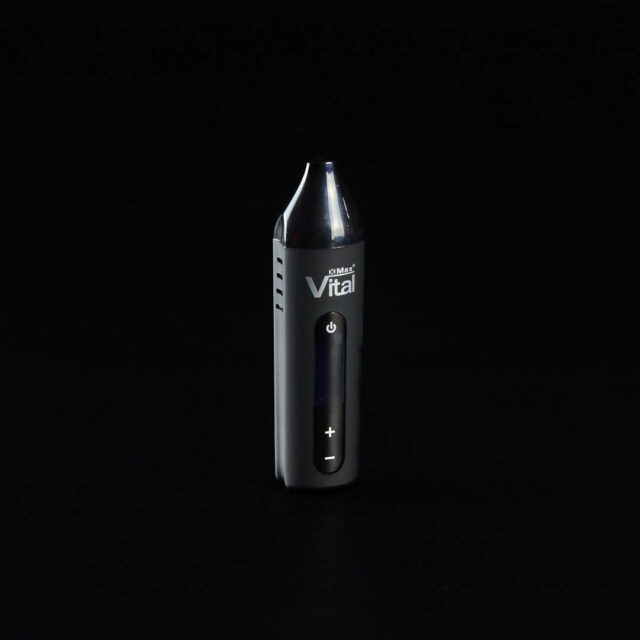 Vaporizador portátil XVape XMAX Vital