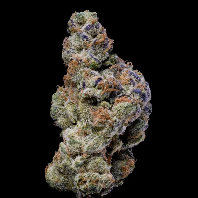 White Coconut Pie feminizada de Cookies Seed Bank