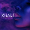 Xhale feminizada de Elev8 Seeds
