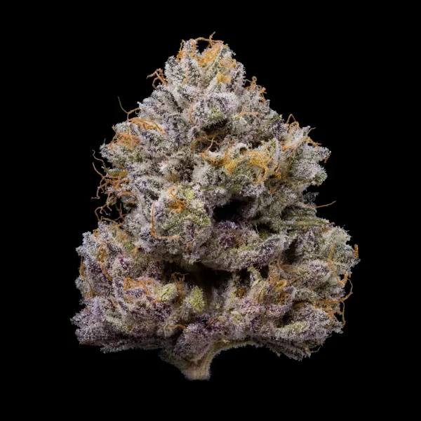 ZZ4 feminizada de Cookies Seed Bank