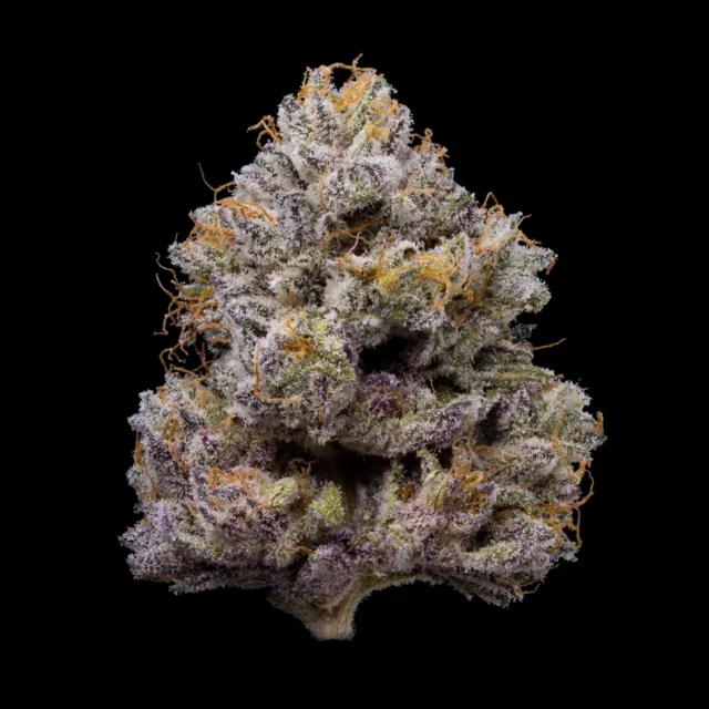 ZZ4 feminizada de Cookies Seed Bank