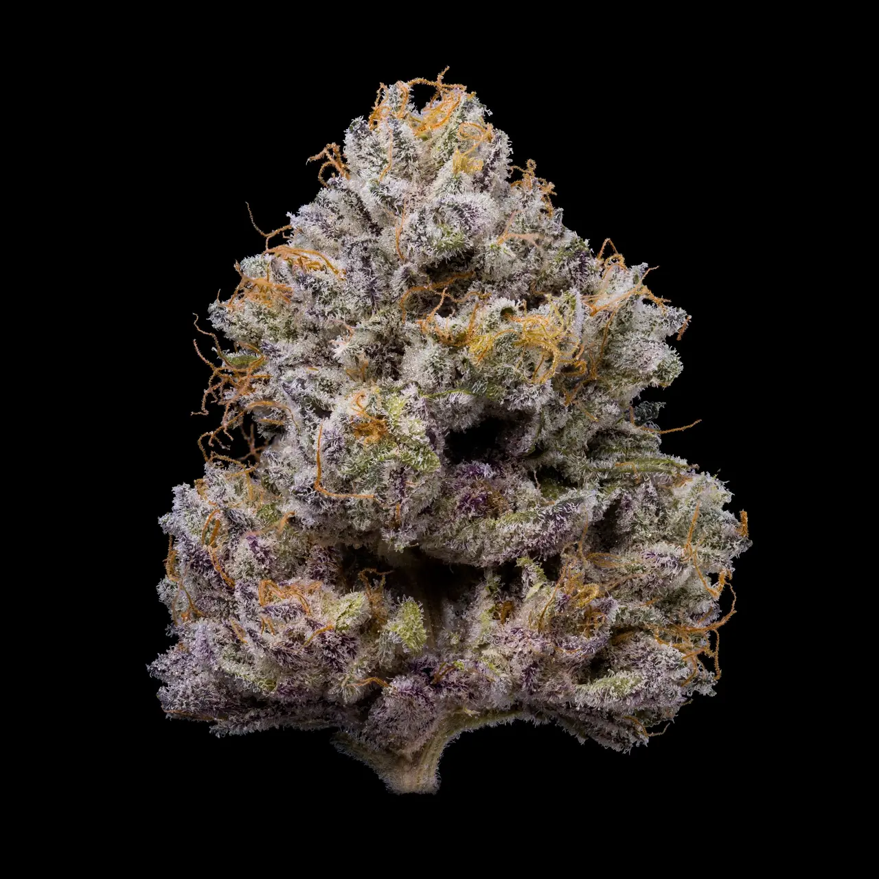 ZZ4 feminizada de Cookies Seed Bank