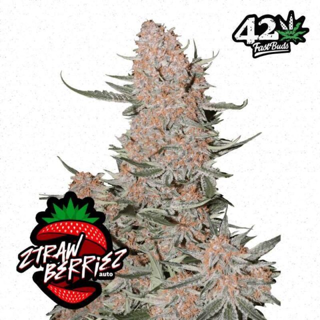 Ztrawberriez Auto de FastBuds