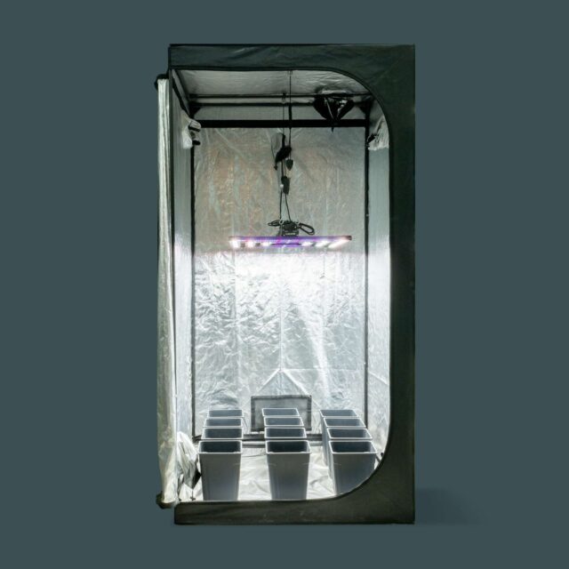 OASIS PRO LUMATEK - Kit armario de cultivo interior LED Profesional