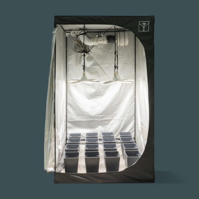 OASIS - Kit armario de cultivo interior LED