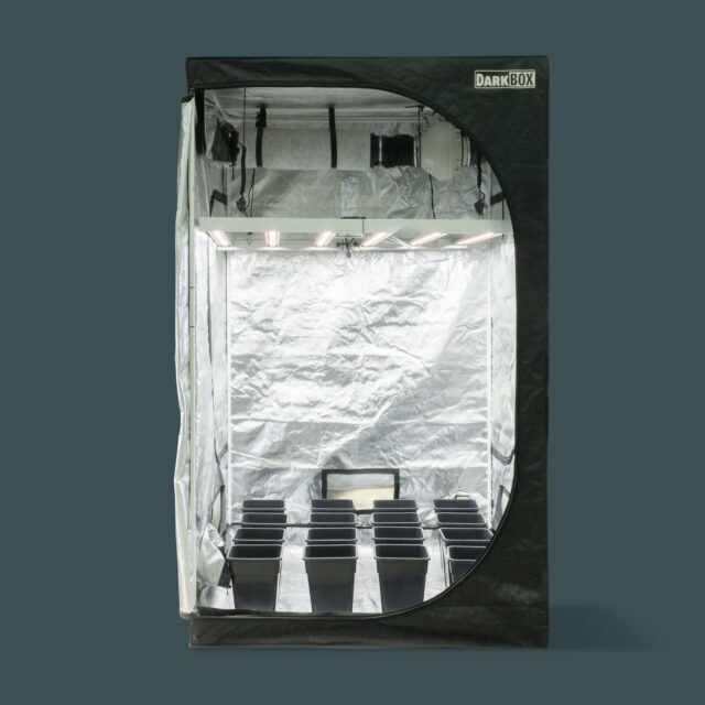 OASIS PRO - Kit armario de cultivo interior LED Avanzado
