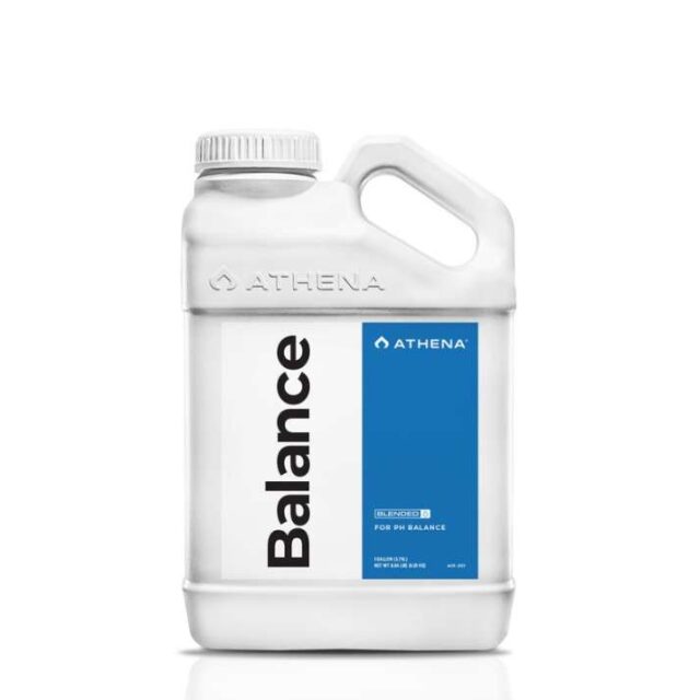 Balance de Athena