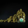 White Widow x Amnesia feminizada de Spanish Seeds