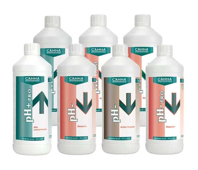 pH+ Plus 20% de Canna 1L Regulador para Sistemas de Cultivo - Imagen 2