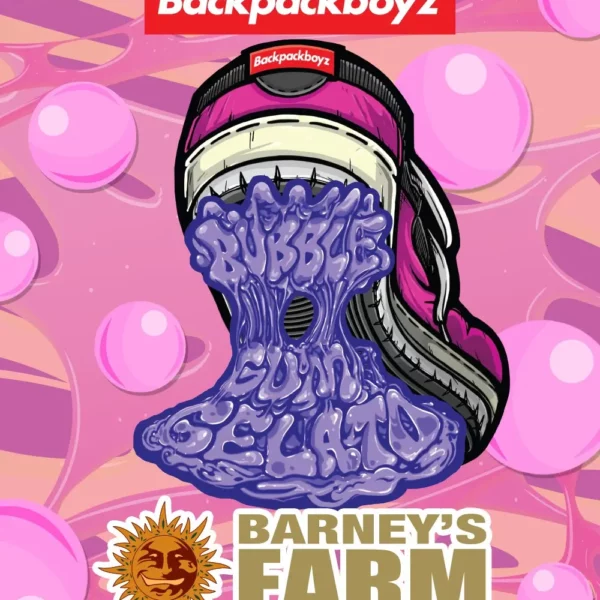 Bubblegum Gelato feminizada de Barney’s Farm