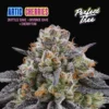 Artic Cherries feminizada de Perfect Tree
