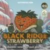 Black Ridge Strawberry feminizada de Elev8 Seeds