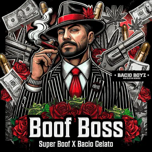 Boof Boss feminizada de Elev8 Seeds - Imagen 2